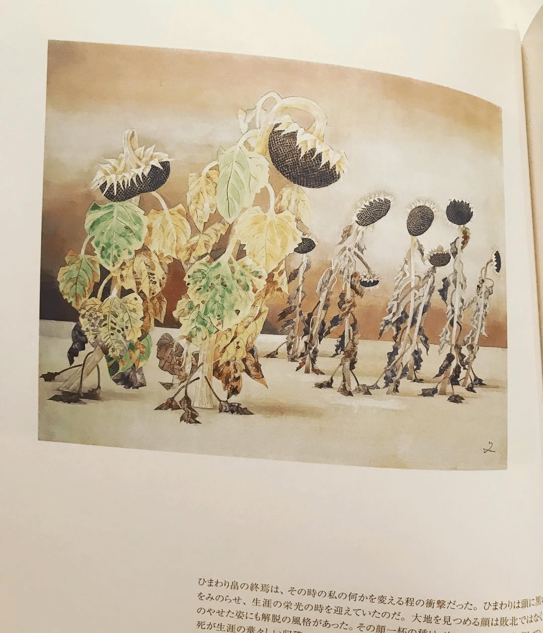 ボクが好きな女性は ユーミンと 角野栄子さんと ヤマザキマリさんと 須賀敦子さんと 堀文子さんと 池谷のぶえさんです カッコいい女性が好きですし 心から 尊敬します 角田陽一郎 バラエティプロデューサー Note