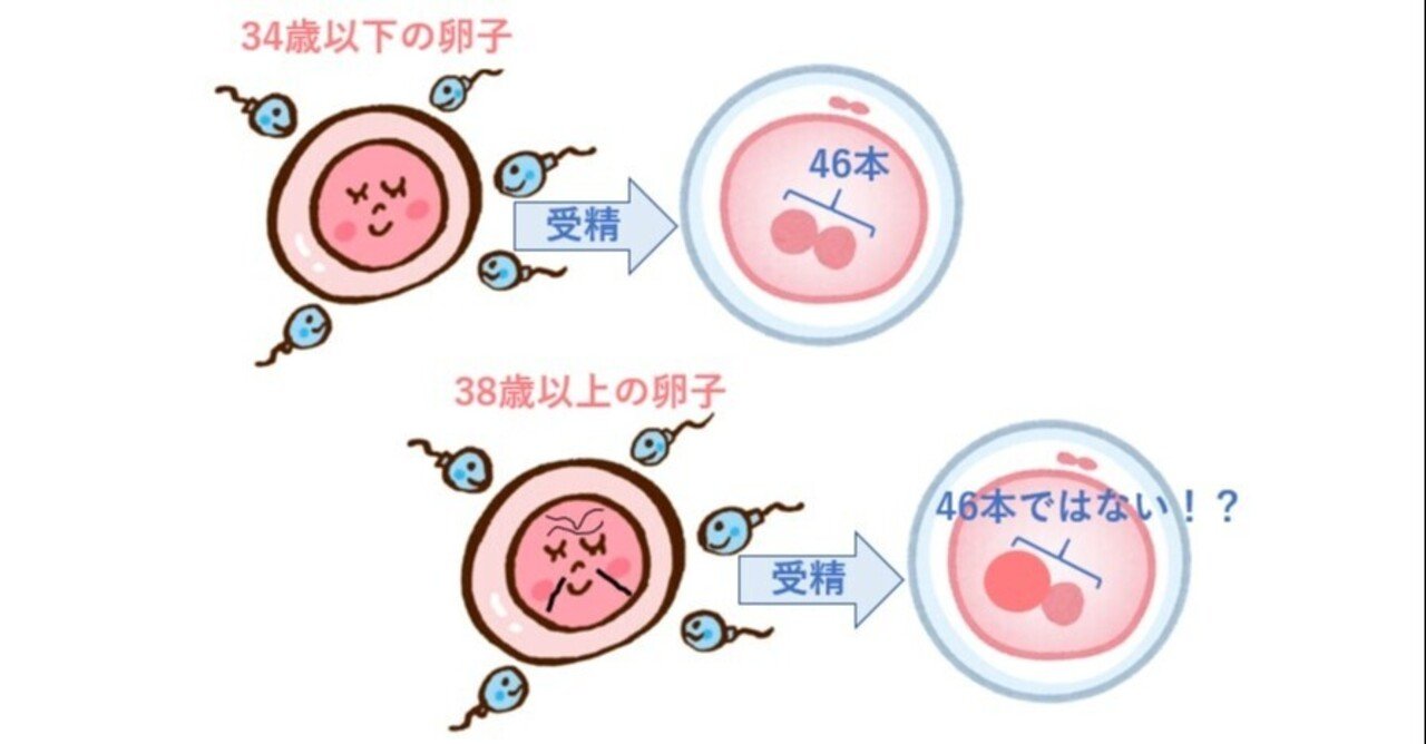 卵子学 Amazon.co.jp: 卵子学 : 森 崇英, 柴原浩章, 島田昌之 , 角田幸雄: 本