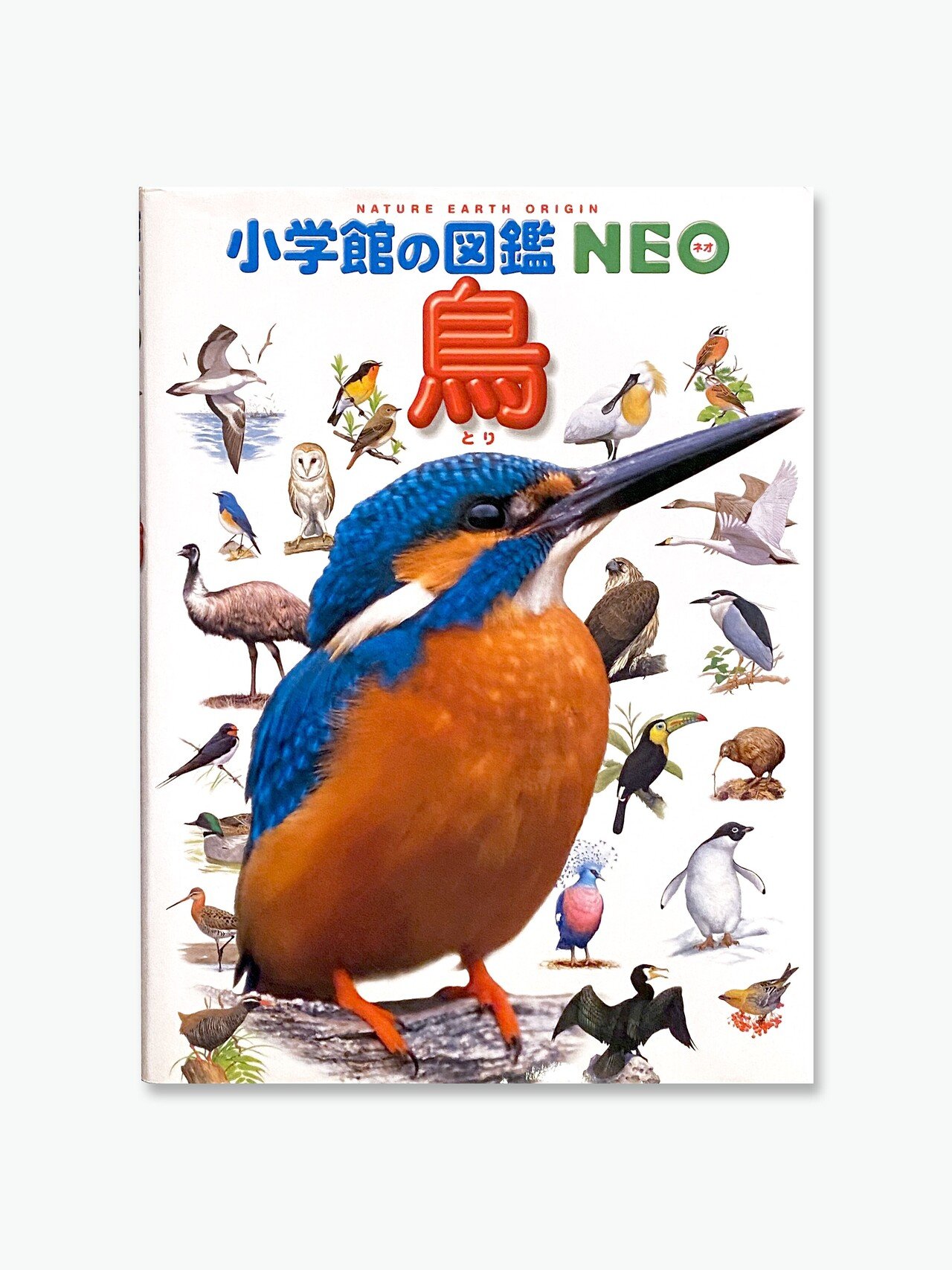 vol.57 小学館の図鑑NEO 鳥｜とりたち