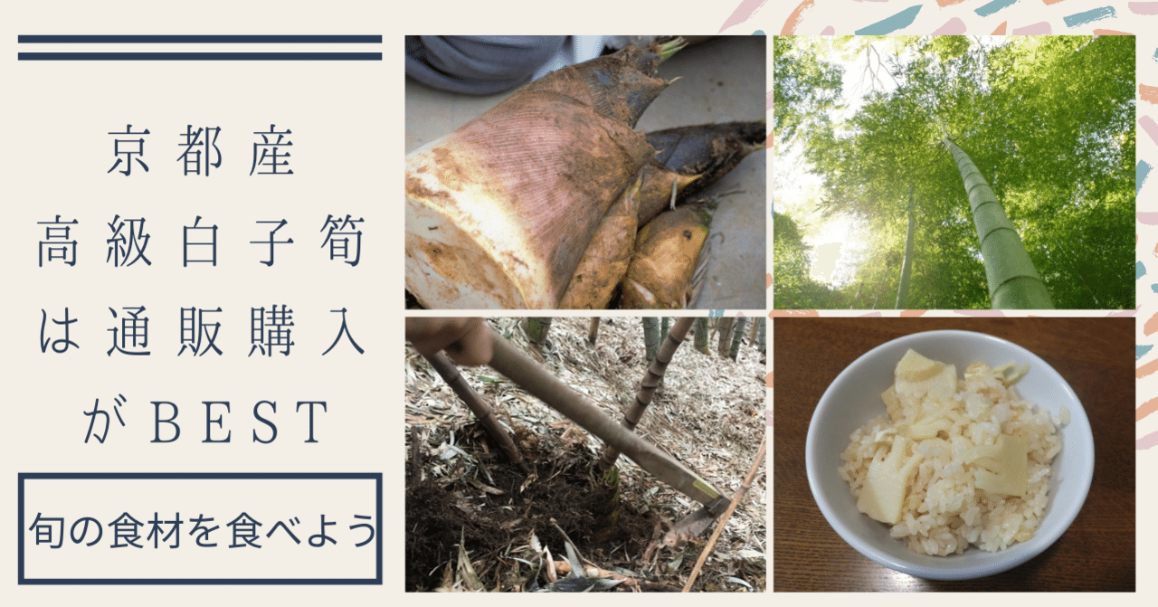 高級たけのこ!京都産 白子筍は通販で!|そうすけ 高級たけのこ!京都産 白子筍は通販で!|そうすけ
