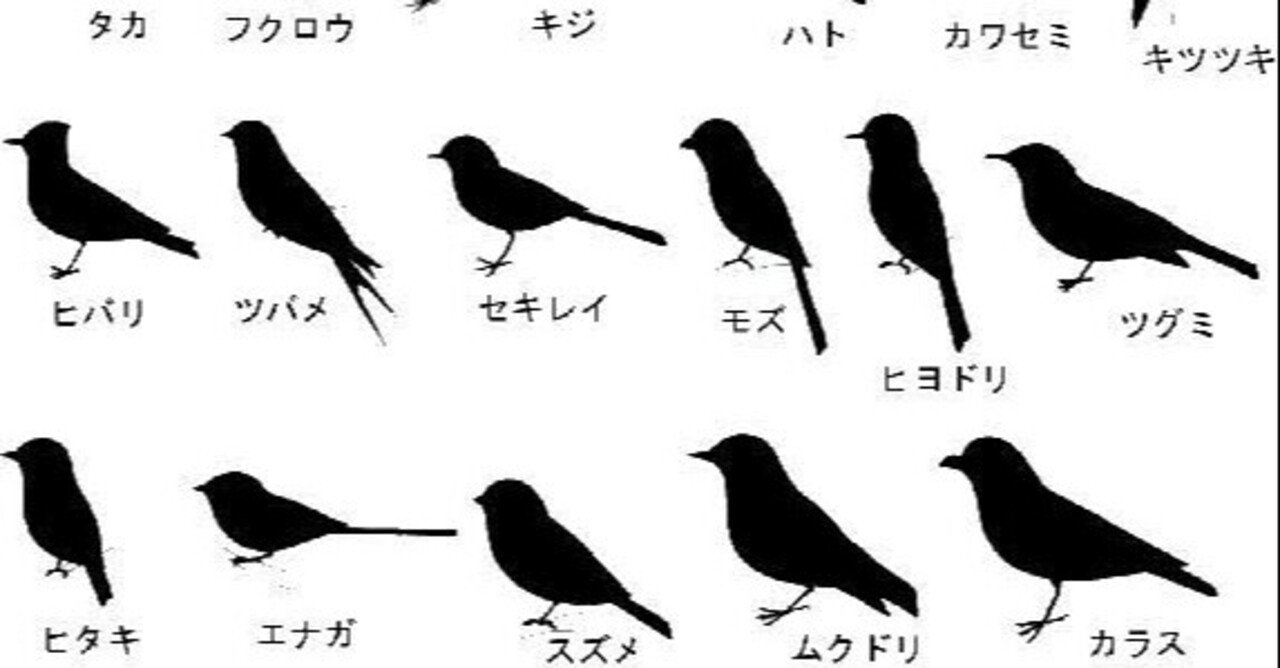 第1493回 鶺鴒(セキレイ)｜翆野 大地