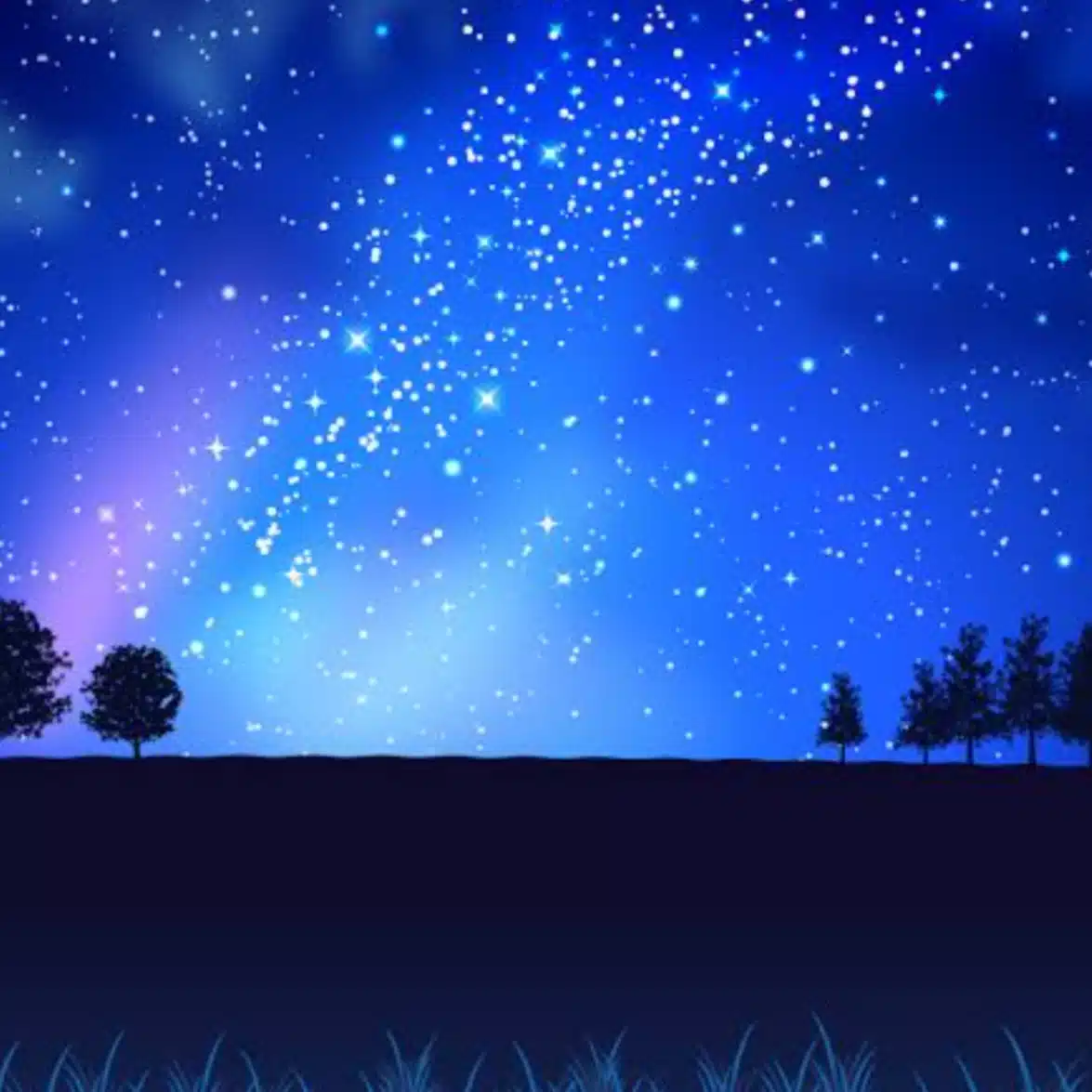 草原の夜空（Ｘ：ヒナ白鳥🦢🦢QAJF）