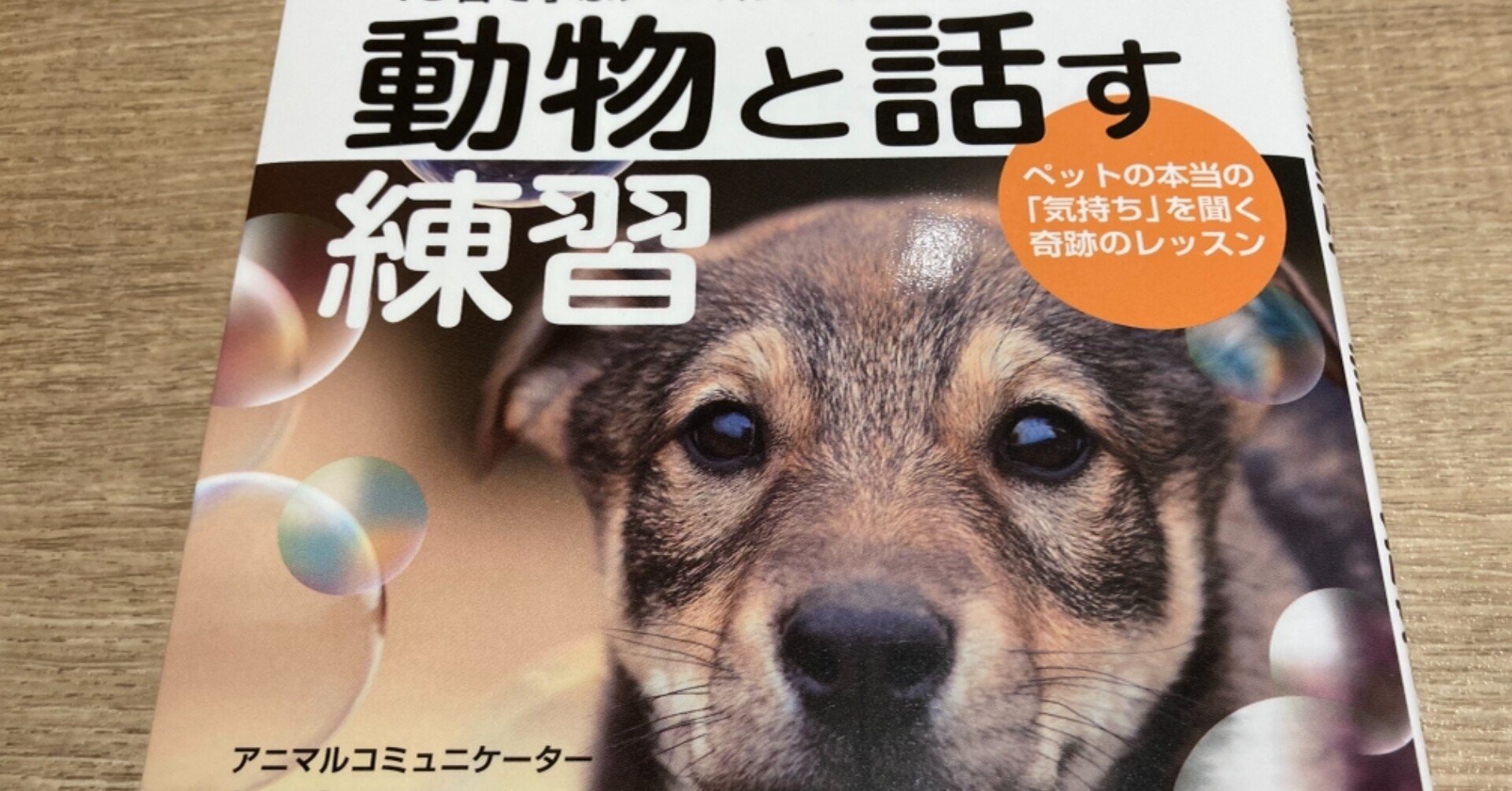 愛読書シリーズ 動物と話す練習 杉真理子 Shalabyrinth Note