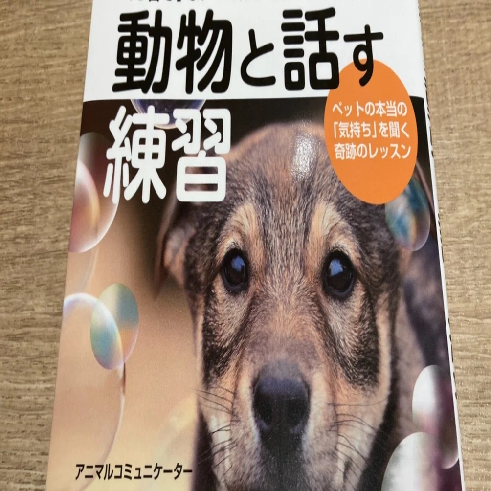 愛読書シリーズ 「動物と話す練習」杉真理子｜Shalabyrinth