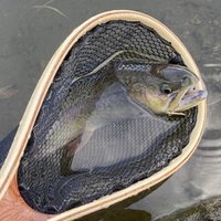 ド素人の初心者が釣りをはじめようとして困った話 前編 篠キチ Note