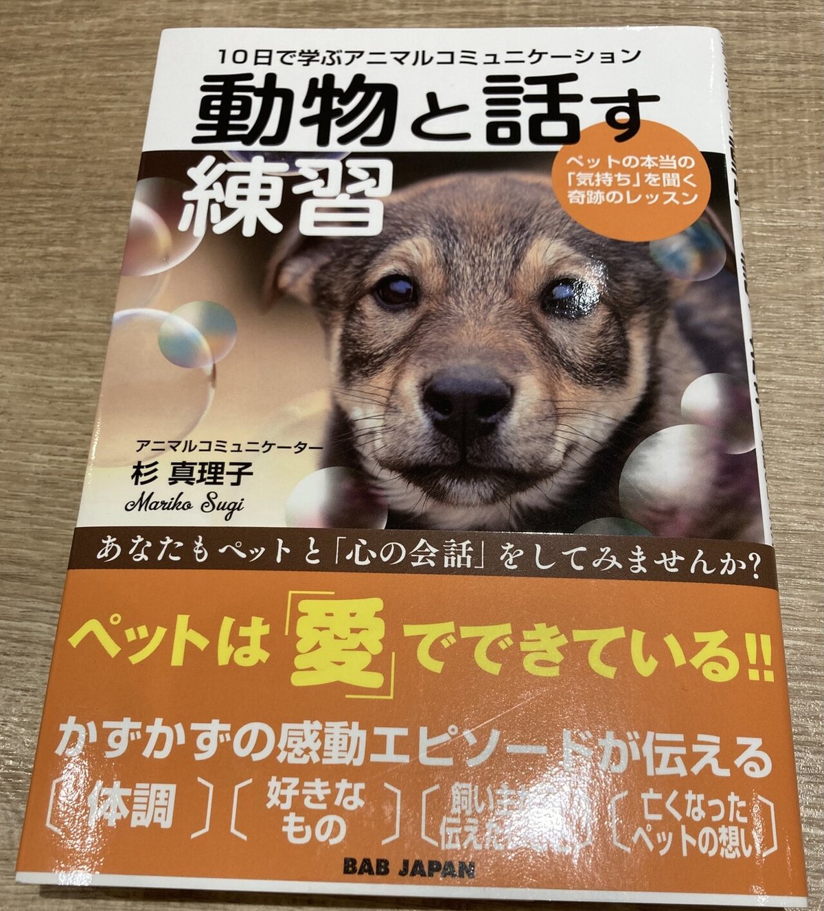 愛読書シリーズ 「動物と話す練習」杉真理子｜Shalabyrinth