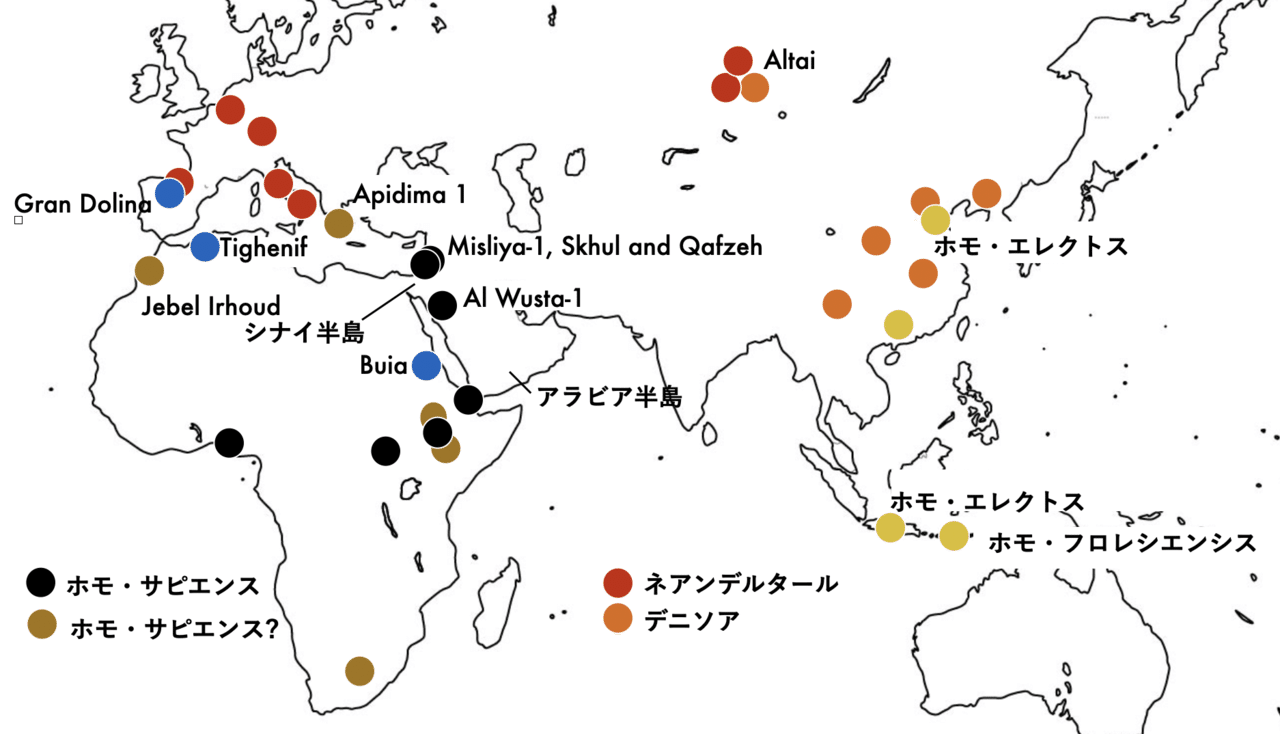 ヒトはいつ出現し、どう進化をたどってきたのか｜河田 雅圭