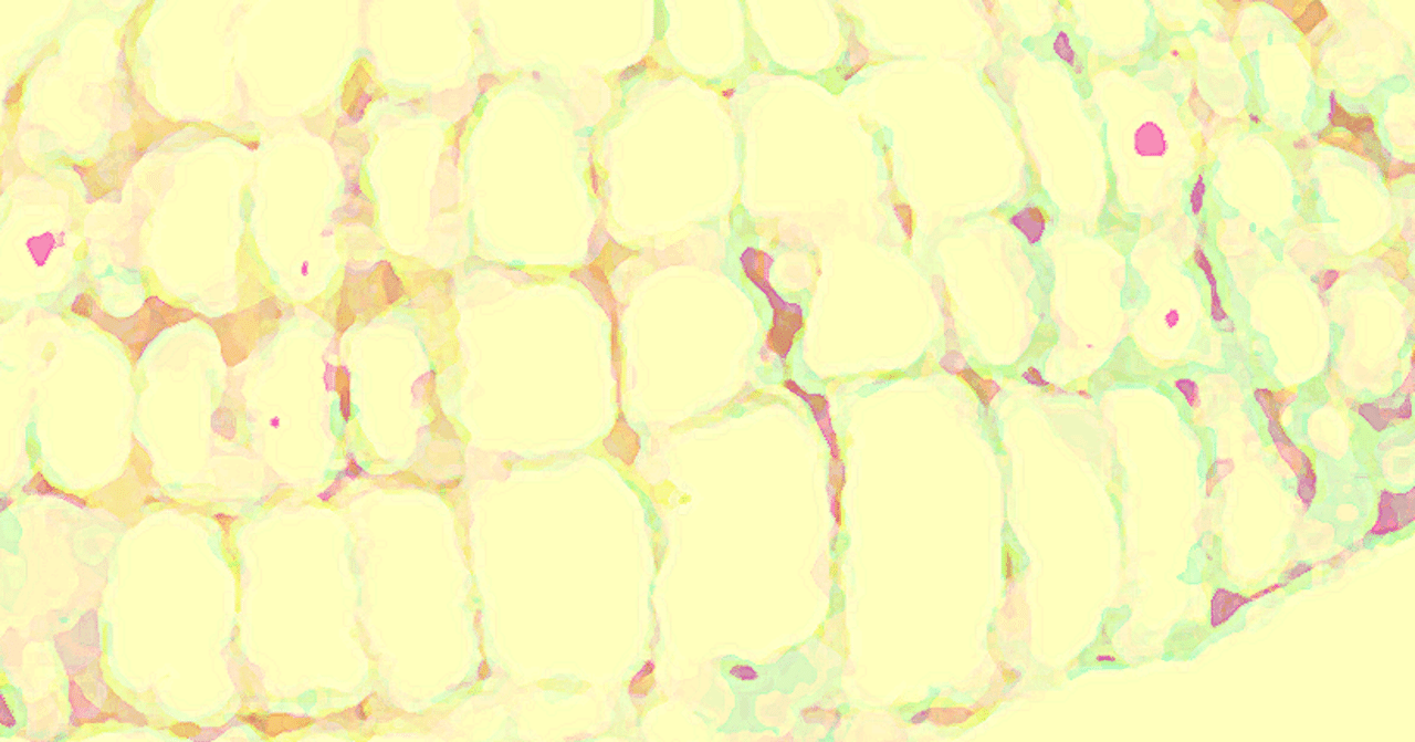 わたしにも好きなものぐらいあるよ まだない Note