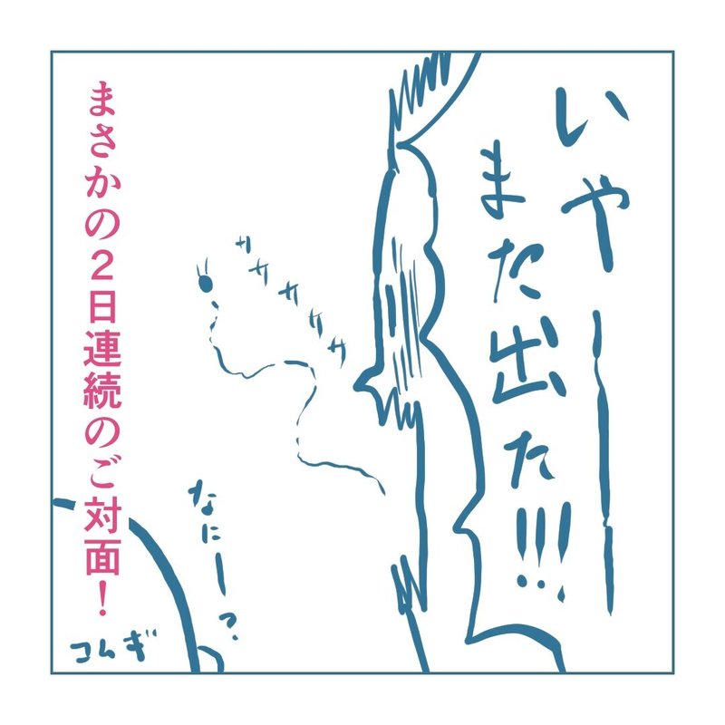 画像53