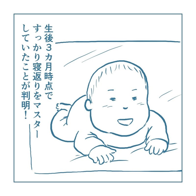 画像12