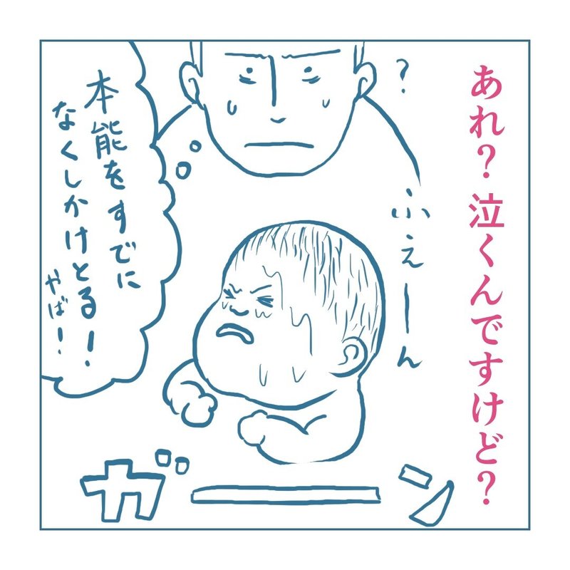 画像13
