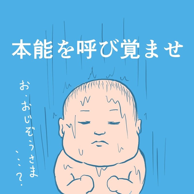 画像16
