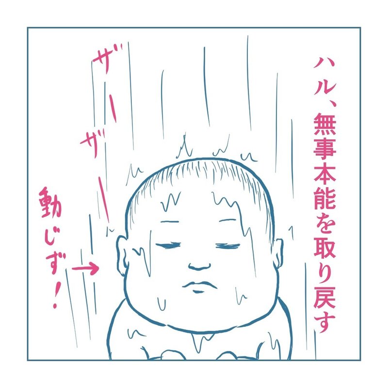 画像14