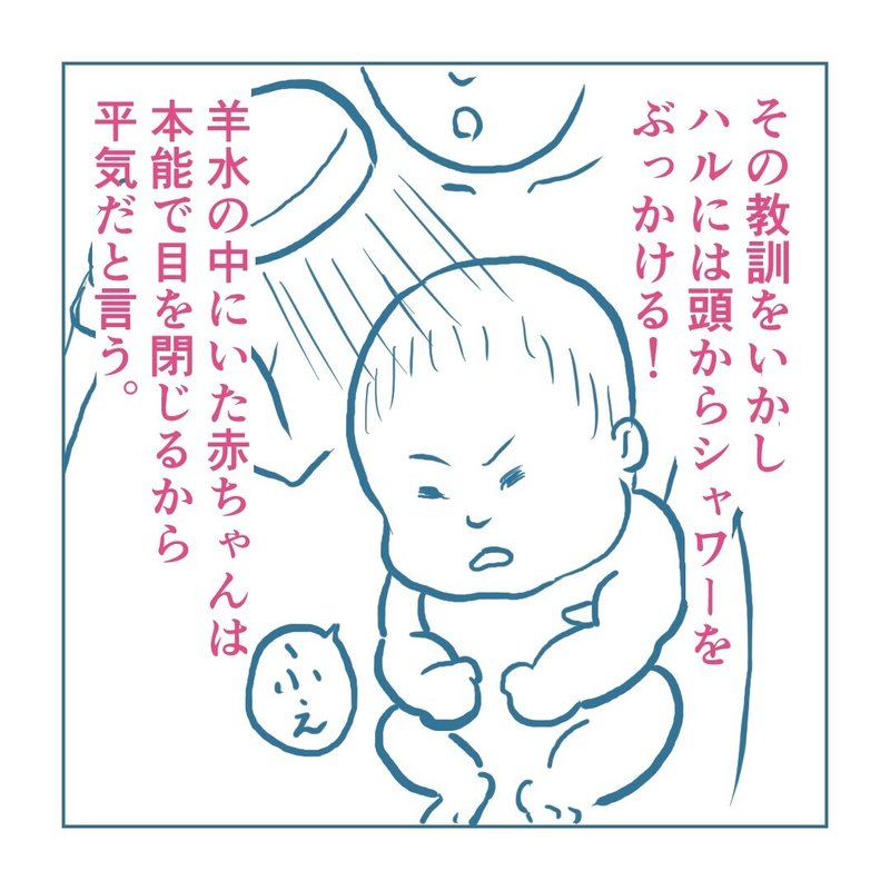 画像15