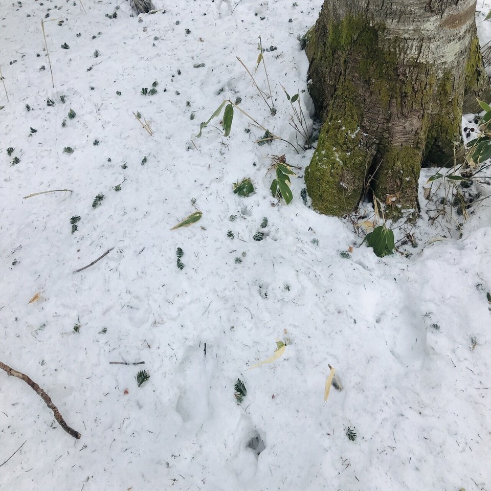 冬のオホーツク旅日記 まほ Note