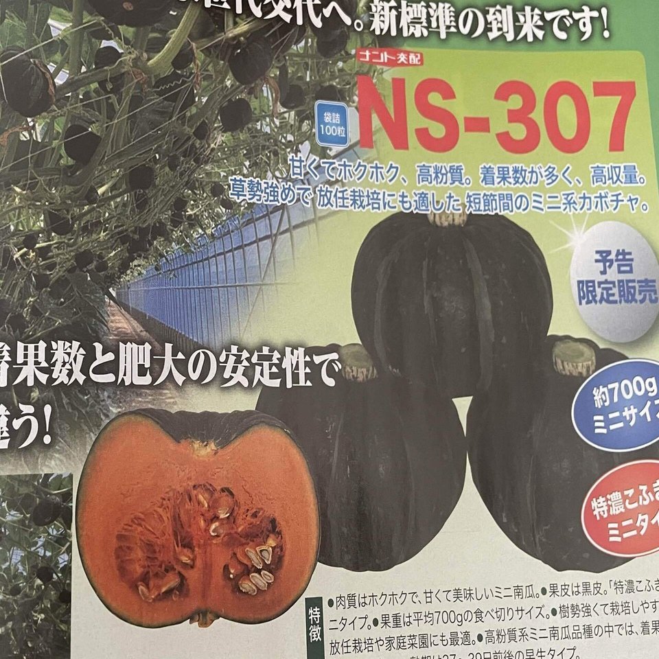 就農2年目に作る作物 Pumpkin Farm Note