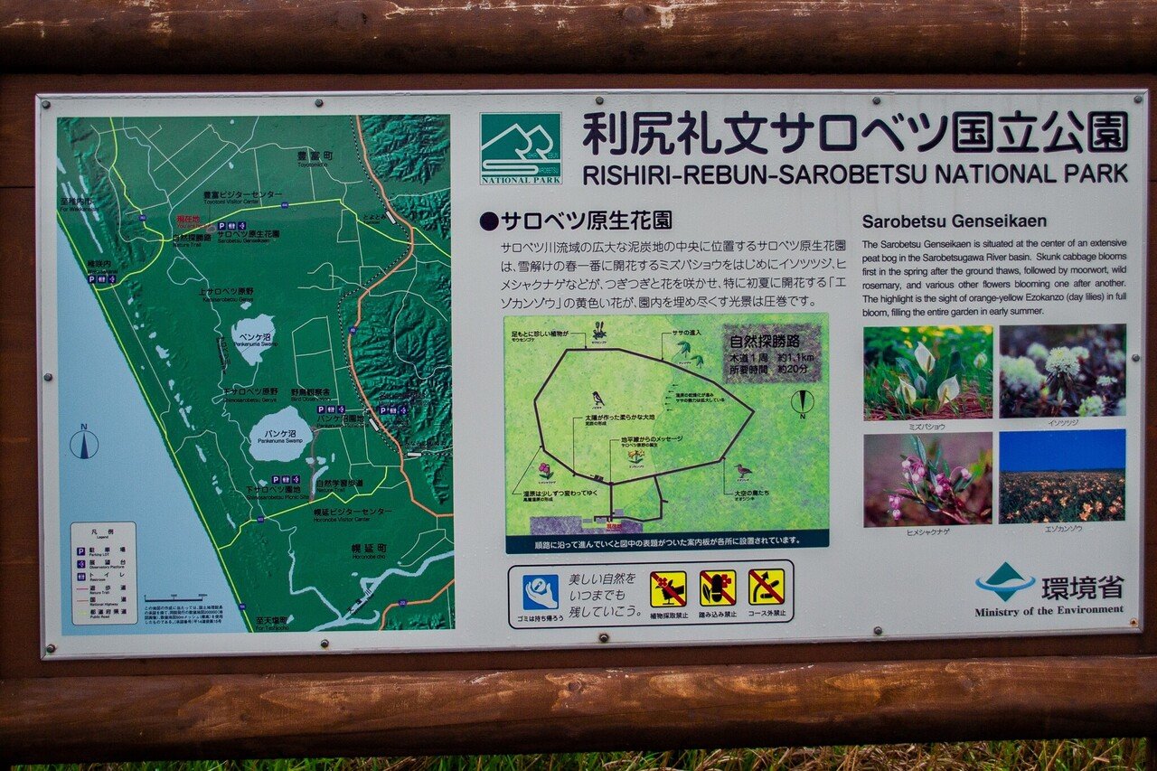 最北端の湿原 サロベツ原生花園 Zenpaku Note 最北端の湿原 サロベツ原生花園 Zenpaku Note