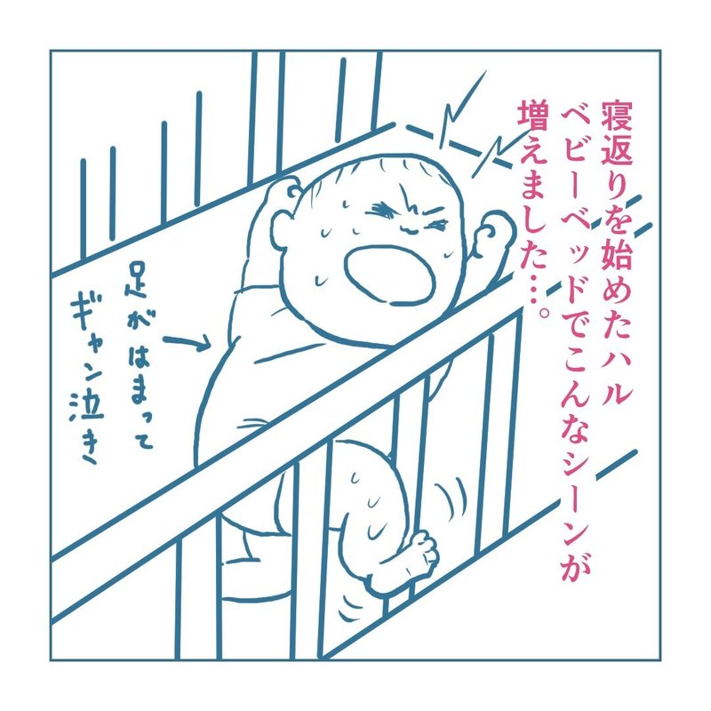 画像51