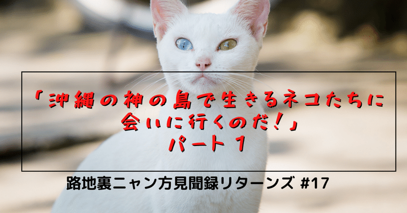 沖縄の神の島で生きるネコたちに会いに行くのだ！　パート１