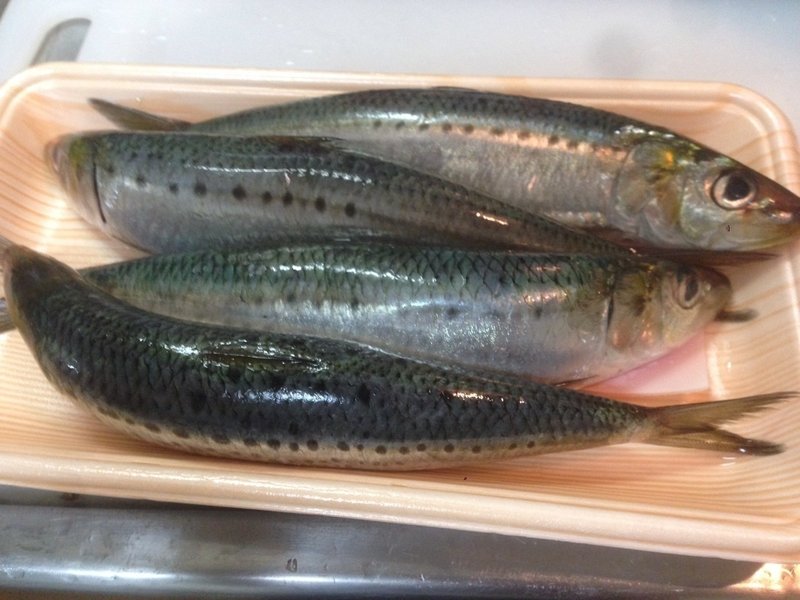 鰯がなめろうになってしまった話 料理とマンガのなおと ちゅうハヤ Note 鰯がなめろうになってしまった話 料理とマンガのなおと ちゅうハヤ Note