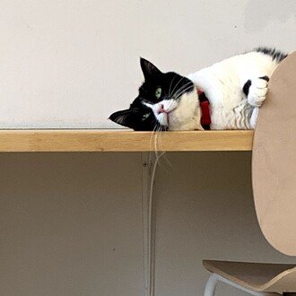 Love Story Taylor S Version Taylor Swift 和訳 Nao Note