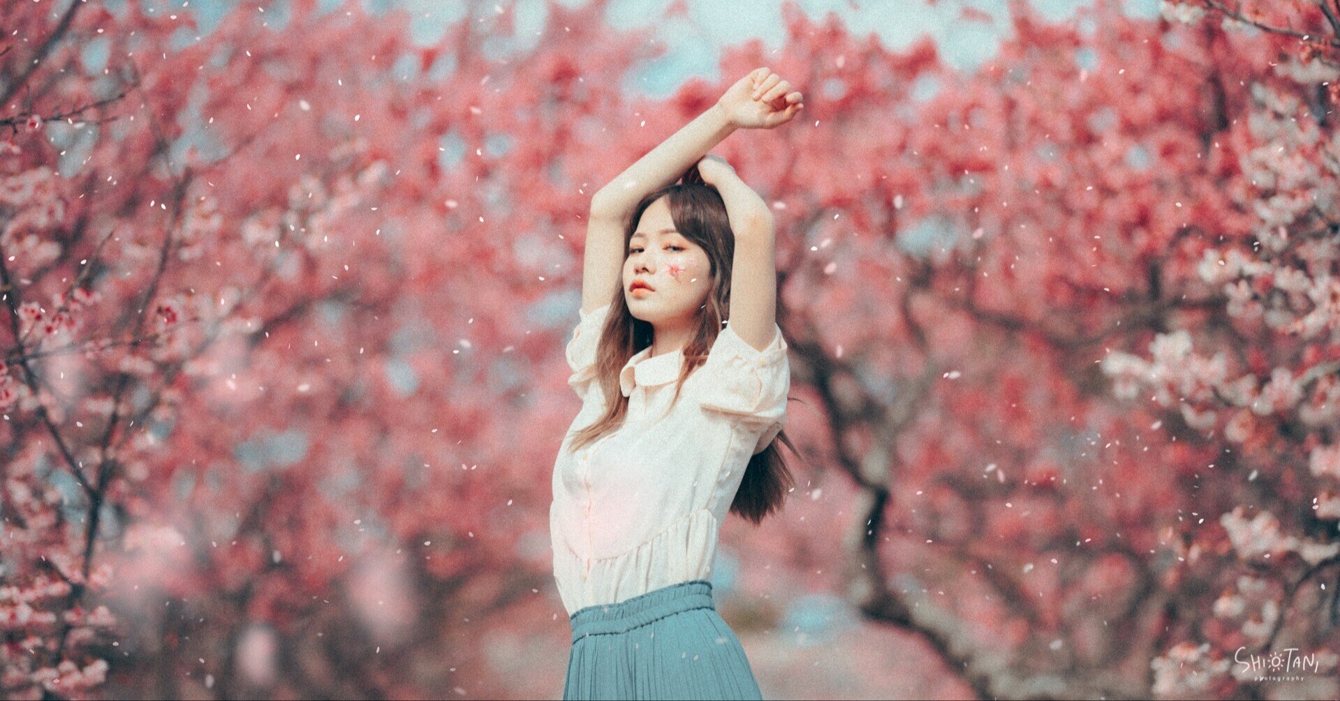 沖縄でポートレートが撮れる花イベント Takumi Shiotani Note 沖縄でポートレートが撮れる花イベント Takumi Shiotani Note