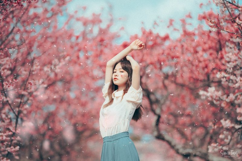 沖縄でポートレートが撮れる花イベント Takumi Shiotani Note 沖縄でポートレートが撮れる花イベント Takumi Shiotani Note
