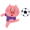 toto102