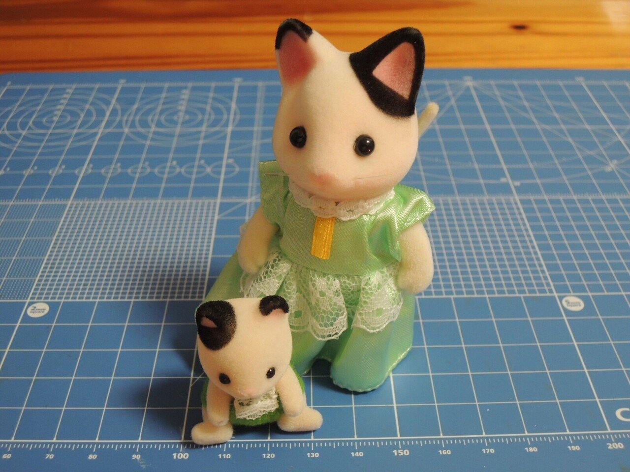 リーメント 魔女の住む家 をシルバニアリメイクでお迎えした 御猫様と座布団 Note