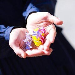 楽しいことリスト の新着タグ記事一覧 Note つくる つながる とどける