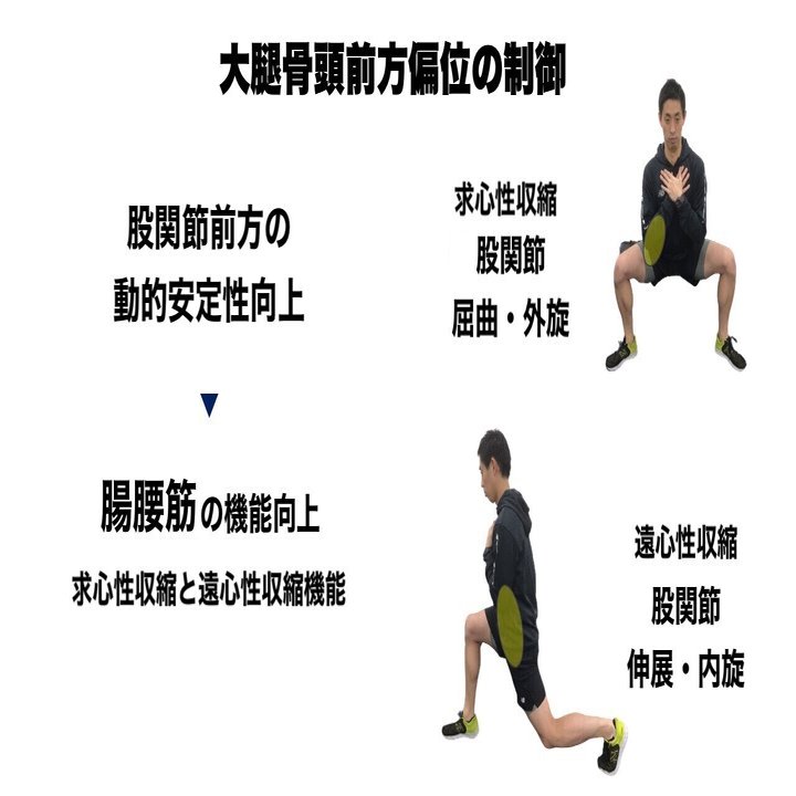 股関節インピンジメント Ckcトレーニン L Fit Note