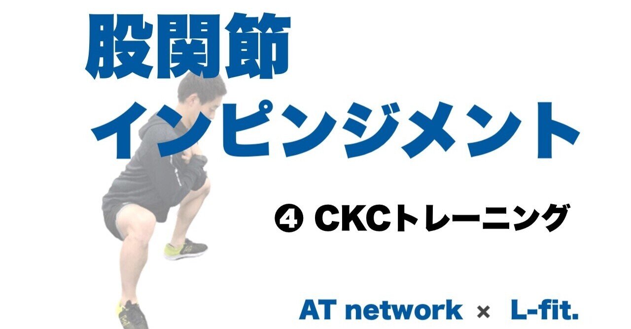 Ckc training store
