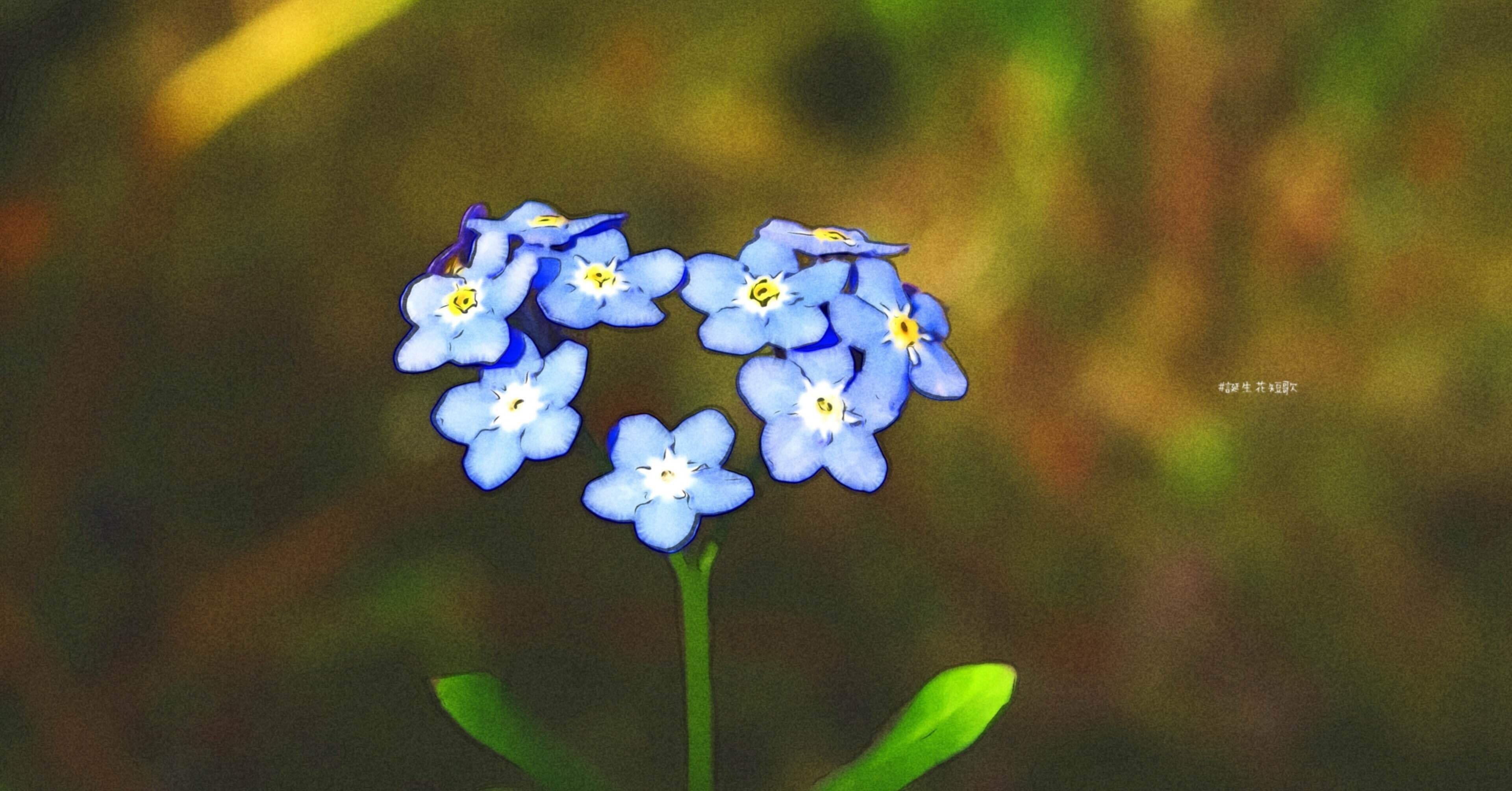 2月29日 誕生花は勿忘草 誕生花短歌 御子柴 流歌 Note