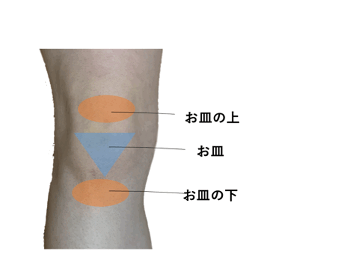 ジャンプ動作で多い膝下の痛み L Fit Note