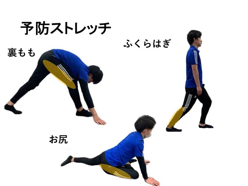 ジャンプ動作で多い膝下の痛み L Fit Note ジャンプ動作で多い膝下の痛み L Fit Note