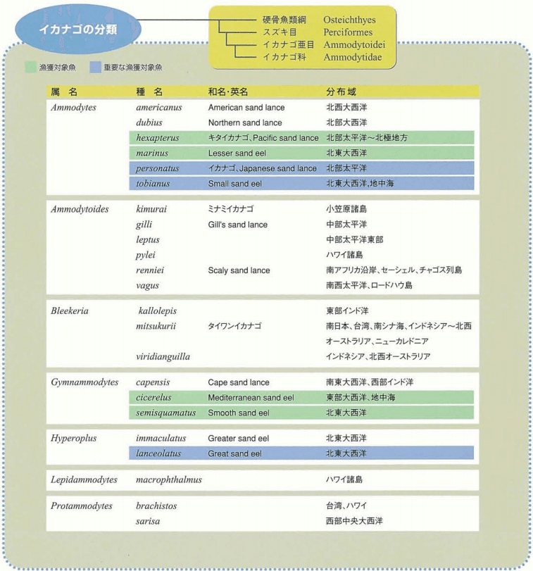 イカナゴ類の分類 世界のイカナゴ類 公益社団法人日本水産資源保護協会 わが国の水産業 いかなご より 山中勧 伍魚福社長 Note イカナゴ類の分類 世界のイカナゴ類 公益社団法人日本水産資源保護協会 わが国の水産業 いかなご より 山中勧 伍魚福社長 Note