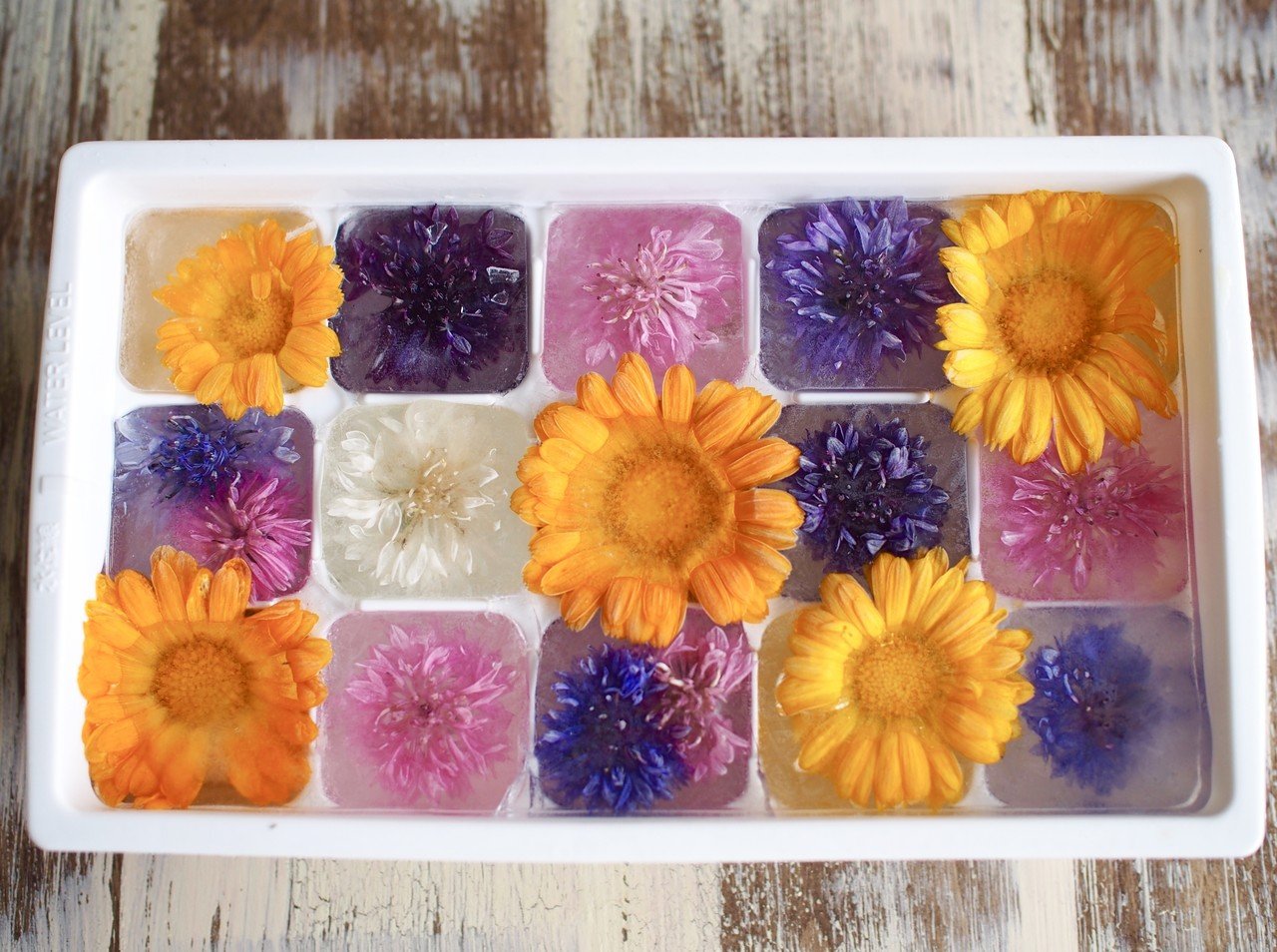 冷凍エディブルフラワーで即席ボタニカルウォーター 真野遥 発酵室 よはく Note 冷凍エディブルフラワーで即席ボタニカルウォーター 真野遥 発酵室 よはく Note