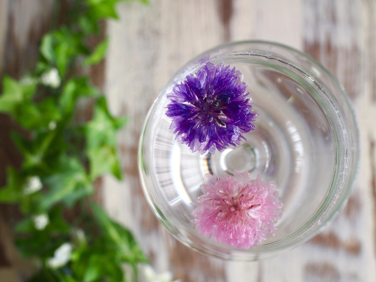 冷凍エディブルフラワーで即席ボタニカルウォーター 真野遥 発酵料理家 Note