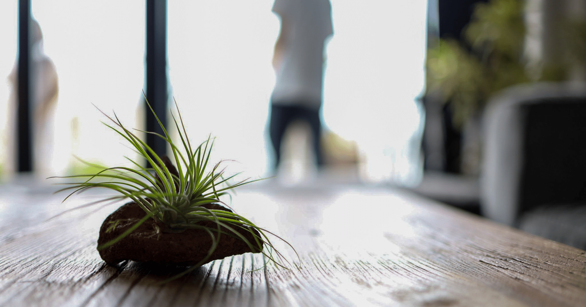 うちの子 のアレルギー性皮膚炎奮闘記 コロ ママ Note