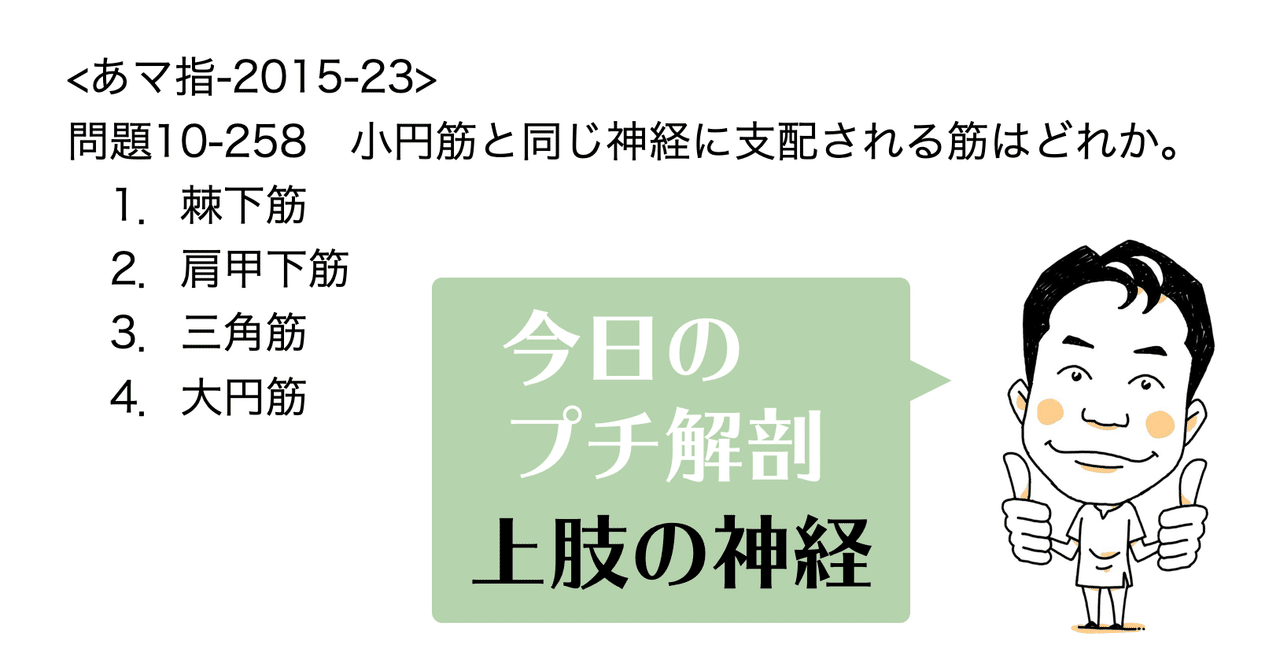 男の子向けプレゼント集結 今日のプチ解剖：小円筋と同じ神経に支配される筋は？｜かずひろ 人生論、メンタルヘルス