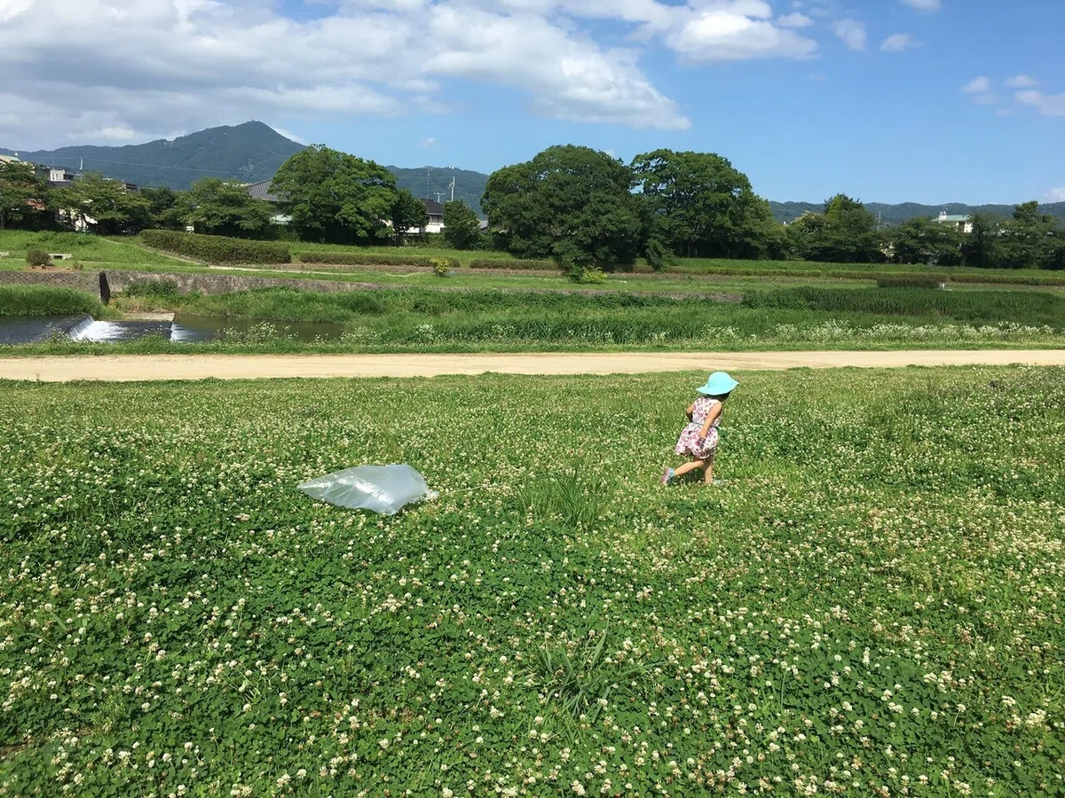 画像1