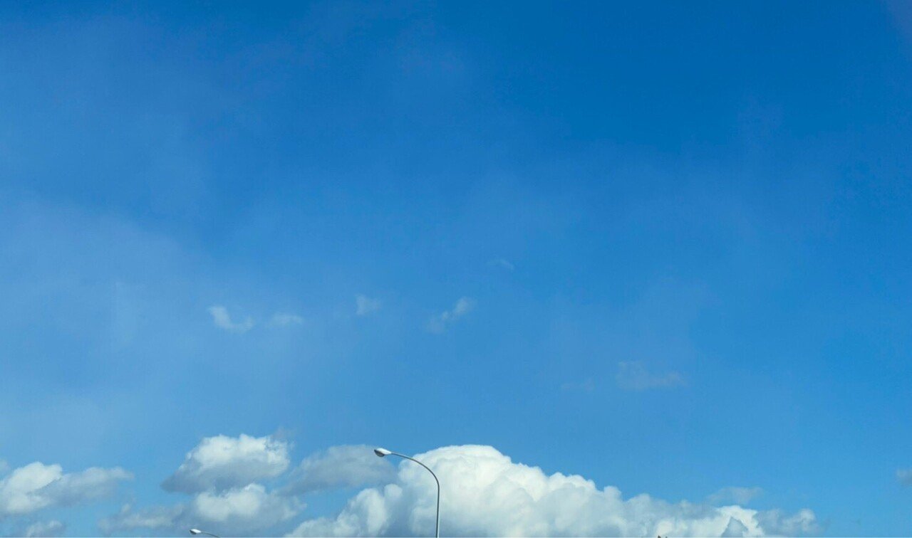 ひと休み いまさら みうらじゅんさんに萌える 光文社新書