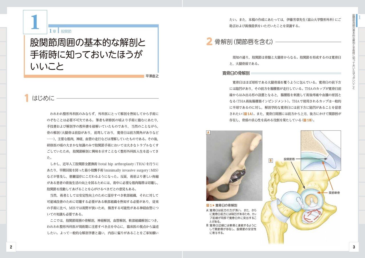 基本的な解剖や手術のピットフォールをしっかり頭にインプットし 基本的な解剖や手術のピットフォールをしっかり頭にインプットし