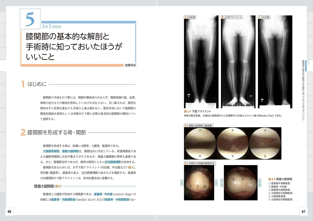 基本的な解剖や手術のピットフォールをしっかり頭にインプットしてから