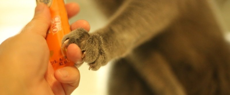 お手手繋いで おやつタイム...