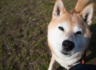 フラッシュ の新着タグ記事一覧 Note つくる つながる とどける