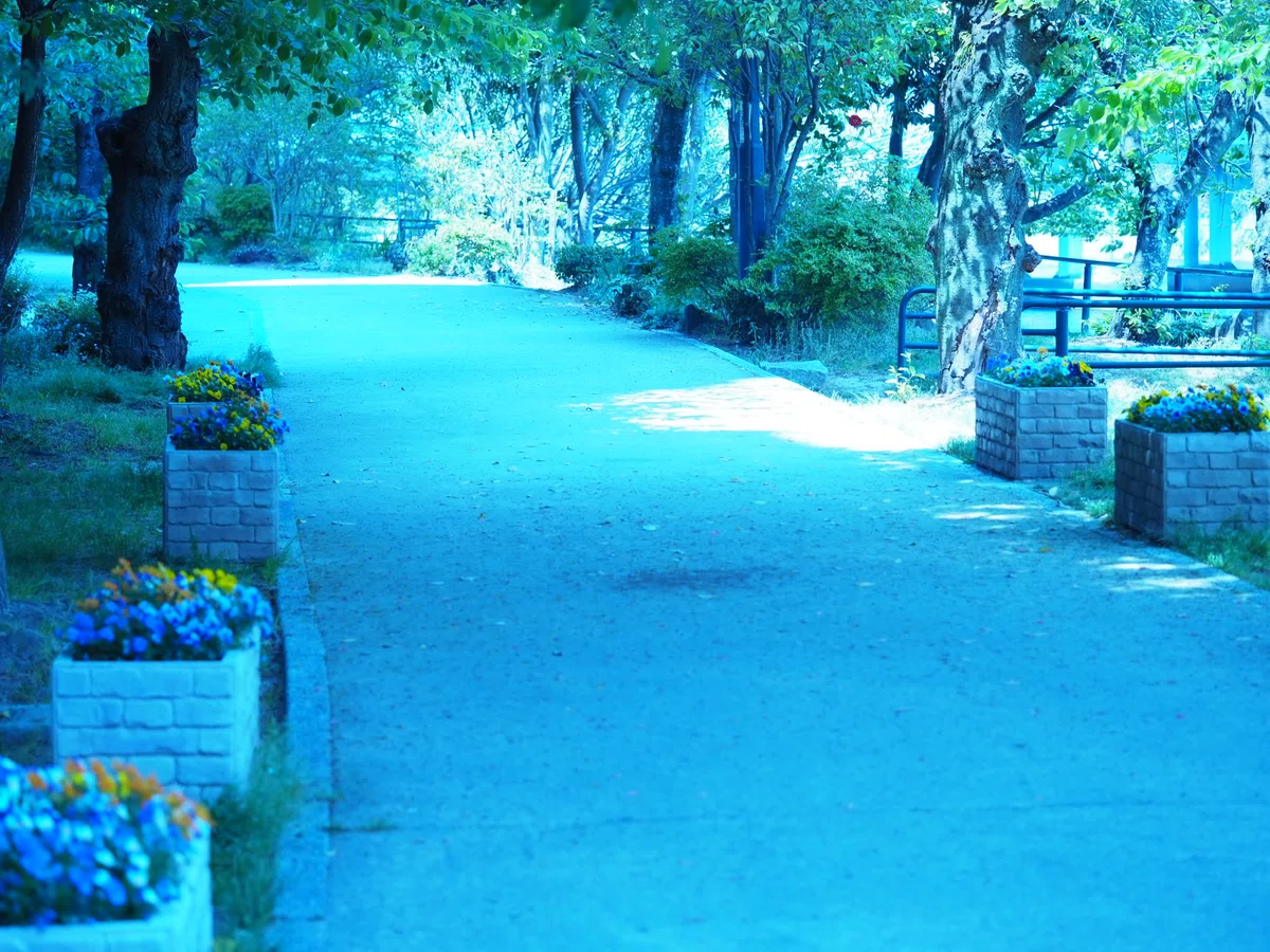 画像