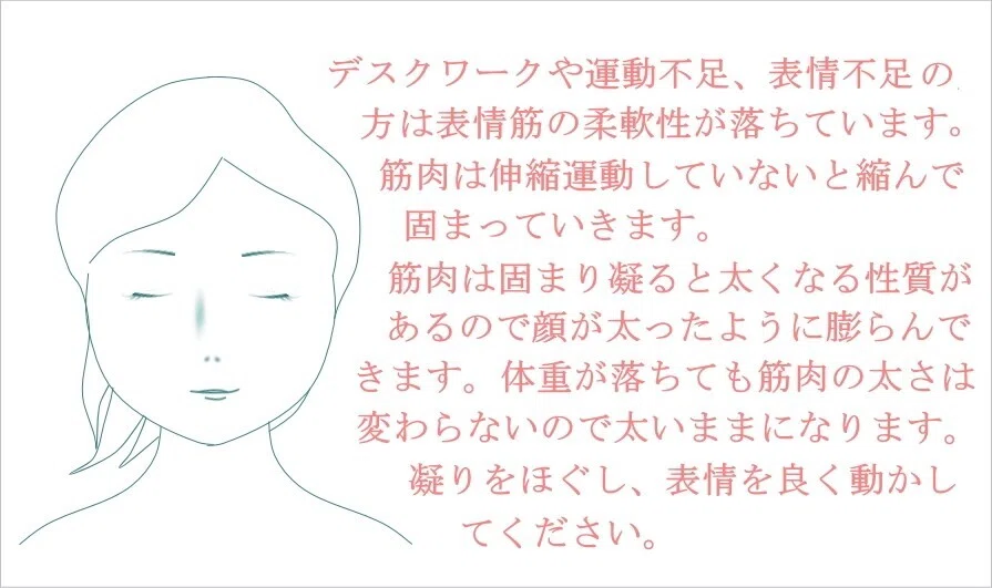 顔筋の凝り太りを取る方法 】｜お顔の整体師 戸塚哲春