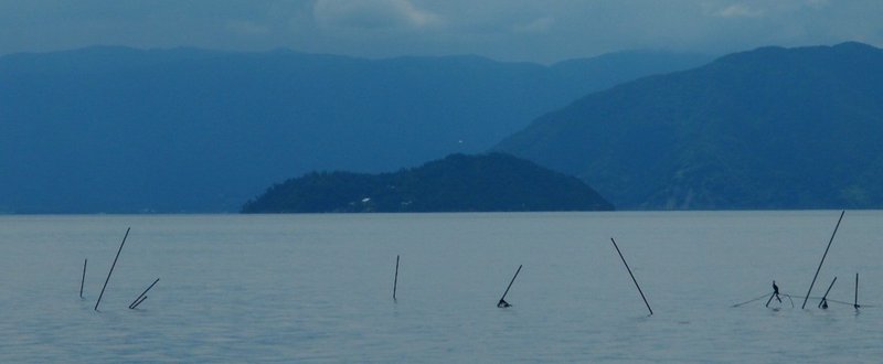 ひょっこり竹生島