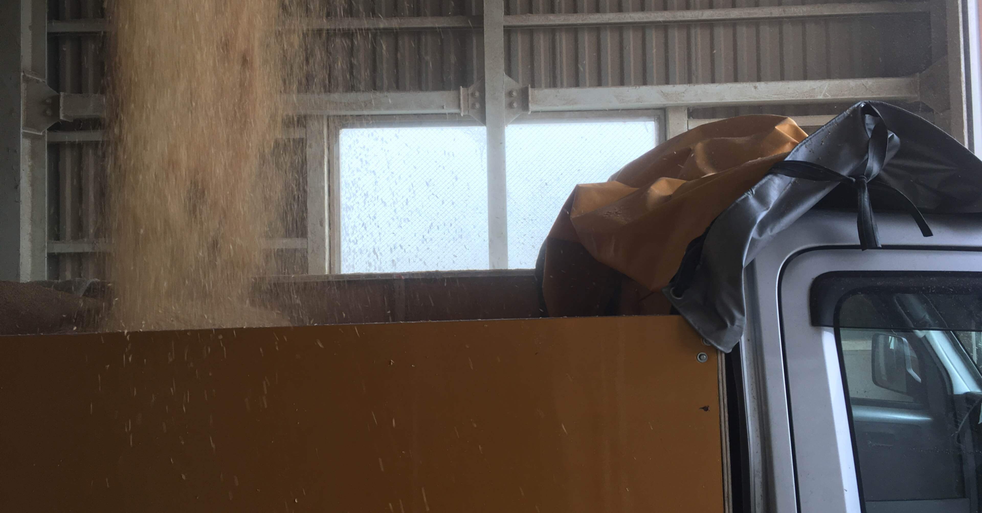 籾殻またもらってきました。｜オオハラケイ＠鳥取で新規就農